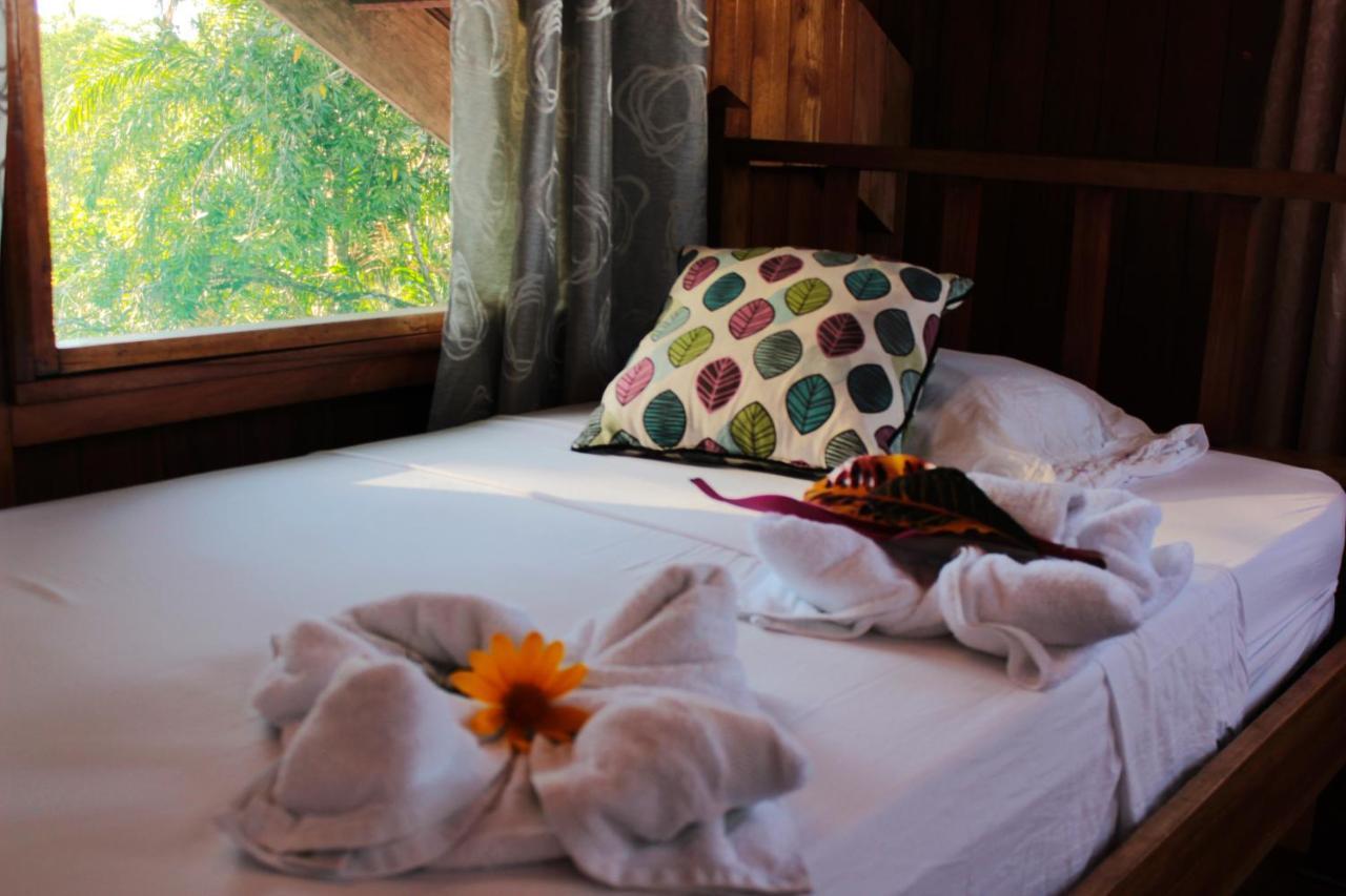 Bed and Breakfast Casa Horizontes Corcovado à Drakes Bay Extérieur photo