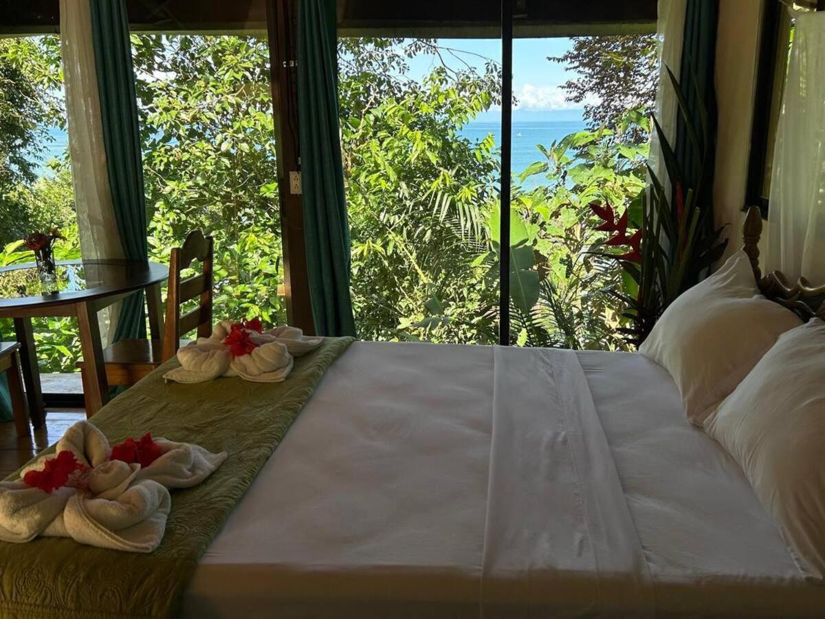 Bed and Breakfast Casa Horizontes Corcovado à Drakes Bay Extérieur photo
