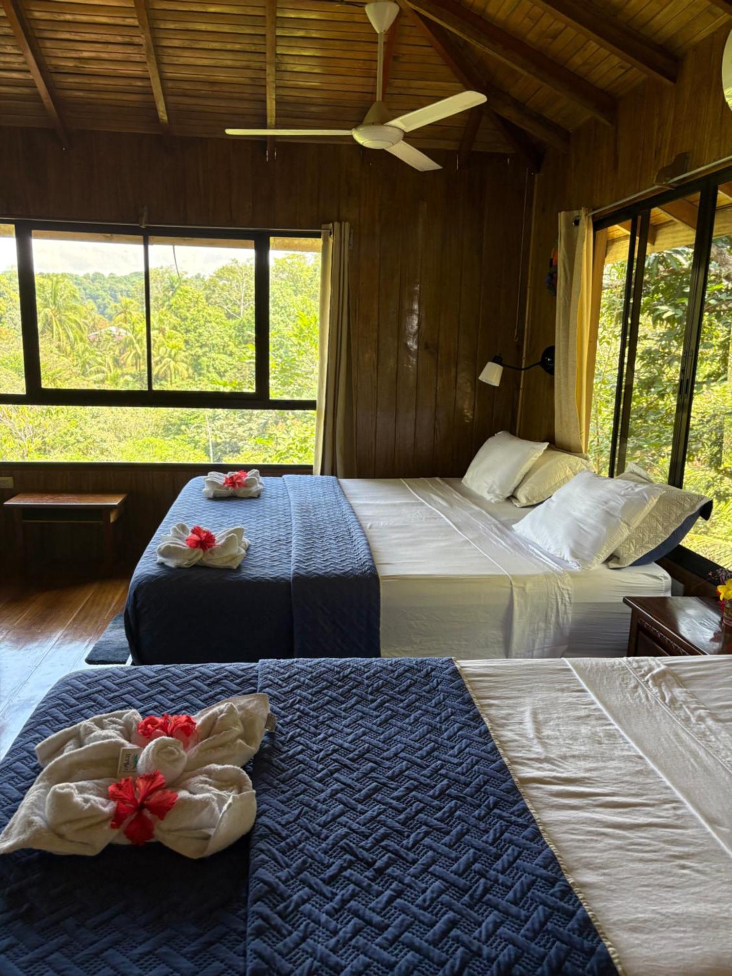 Bed and Breakfast Casa Horizontes Corcovado à Drakes Bay Extérieur photo